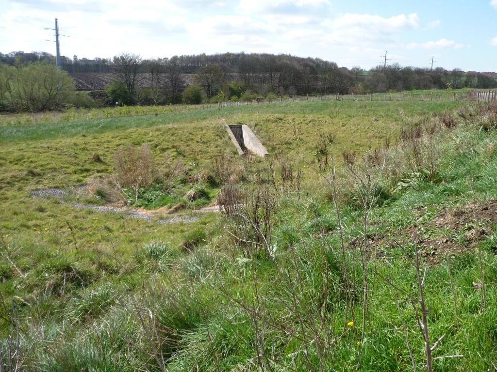 A sustainable drainage system